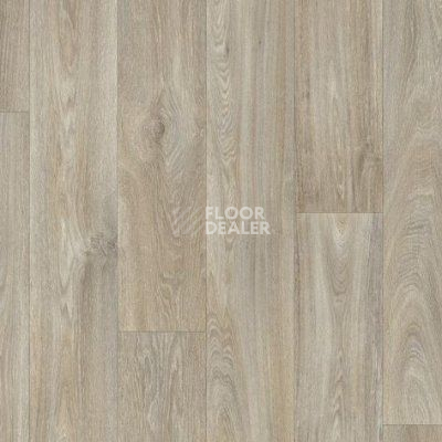 Линолеум Juteks Pietro HAVANNA OAK 696L фото 1 | FLOORDEALER